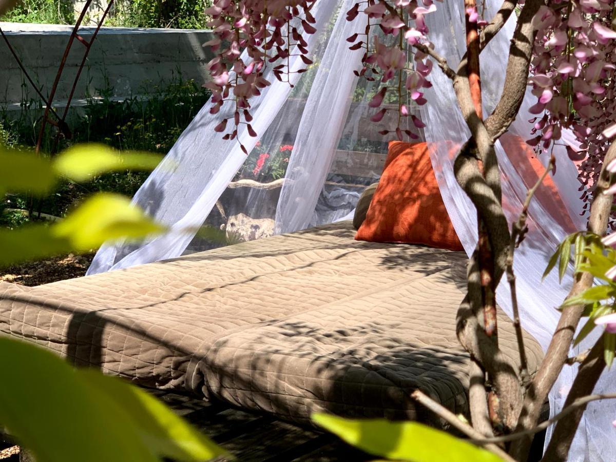 Casa Botanica Villa Blagaj Eksteriør billede