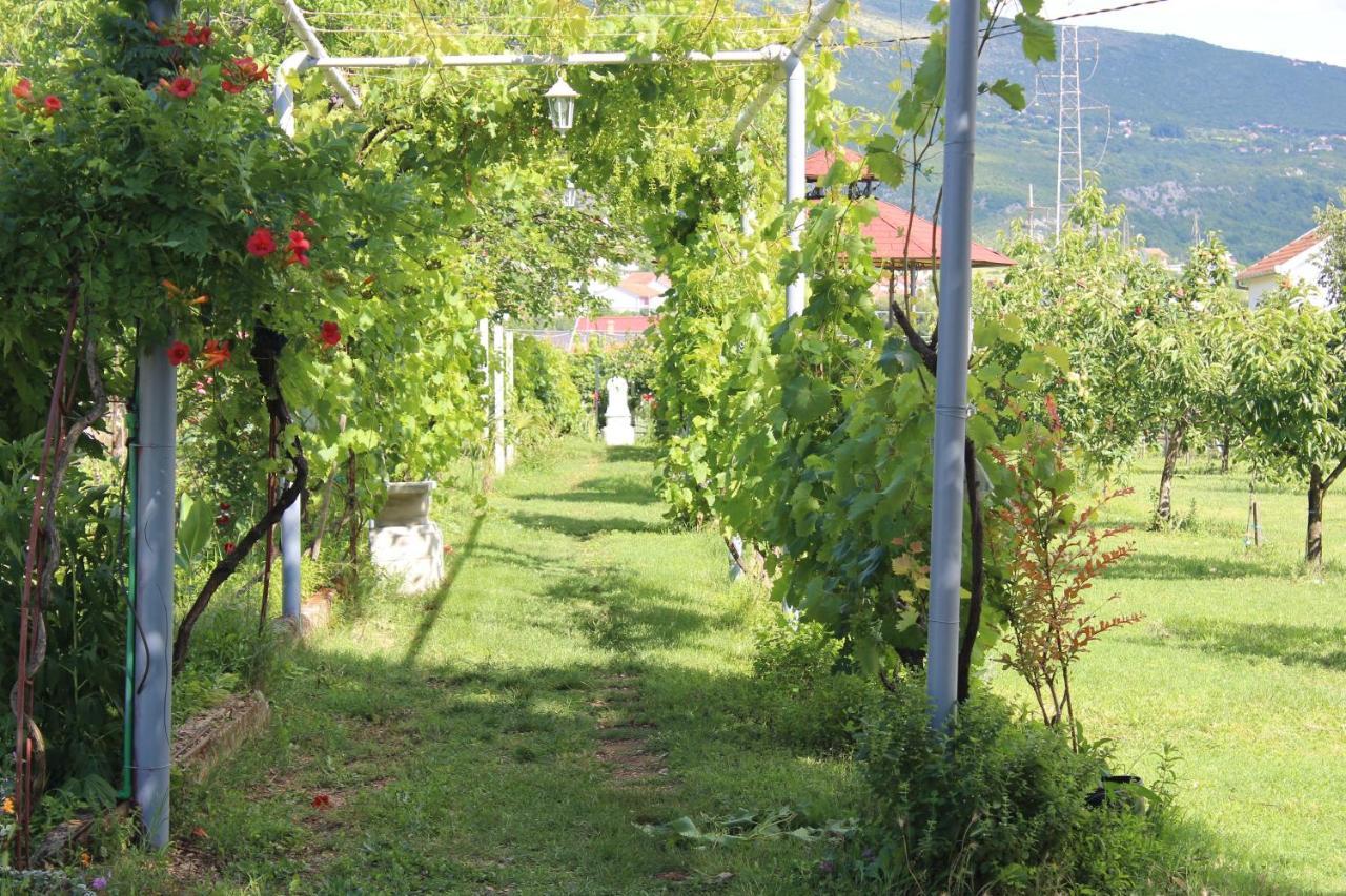 Casa Botanica Villa Blagaj Eksteriør billede