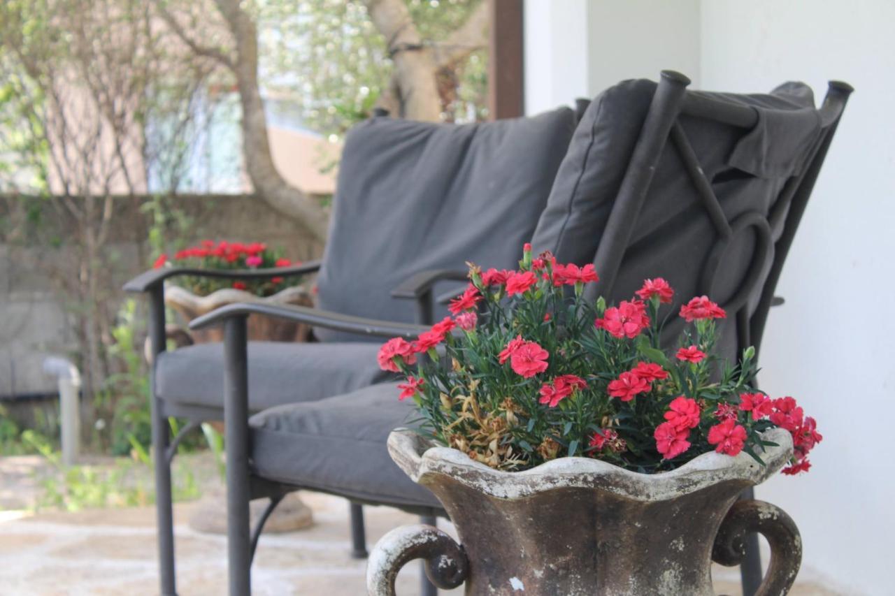 Casa Botanica Villa Blagaj Eksteriør billede